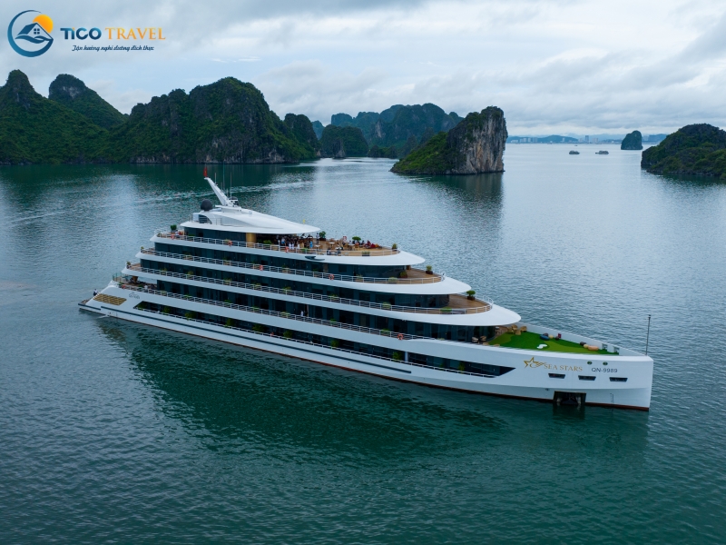 Sea Stars Cruise