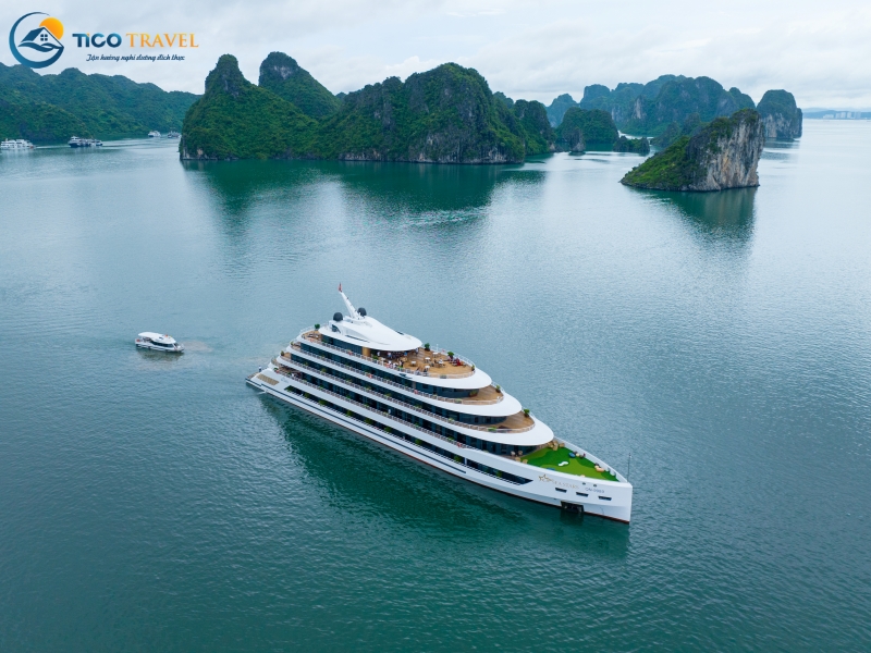 Sea Stars Cruise