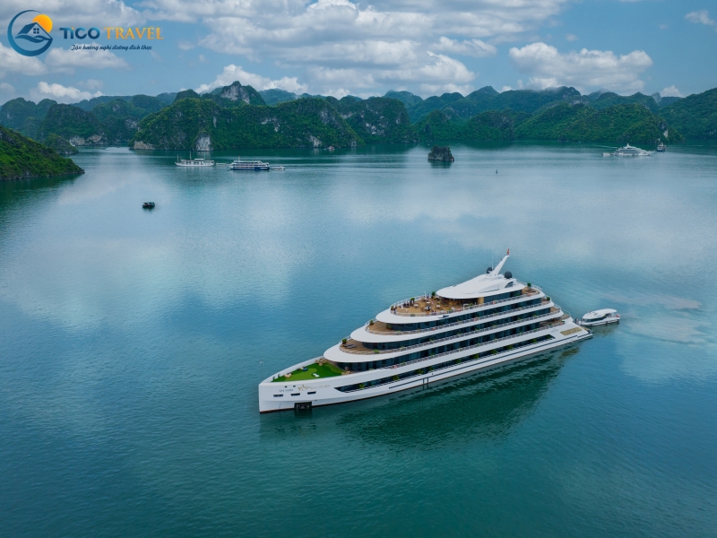 Sea Stars Cruise
