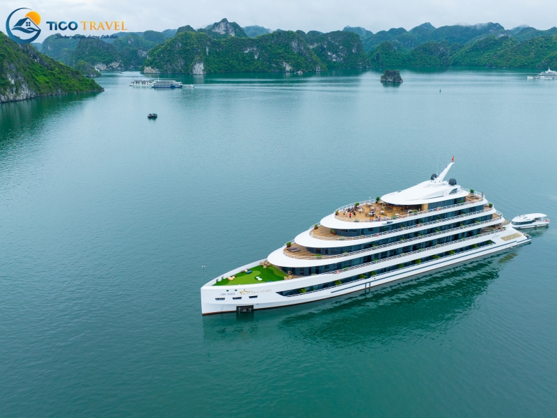 Sea Stars Cruise