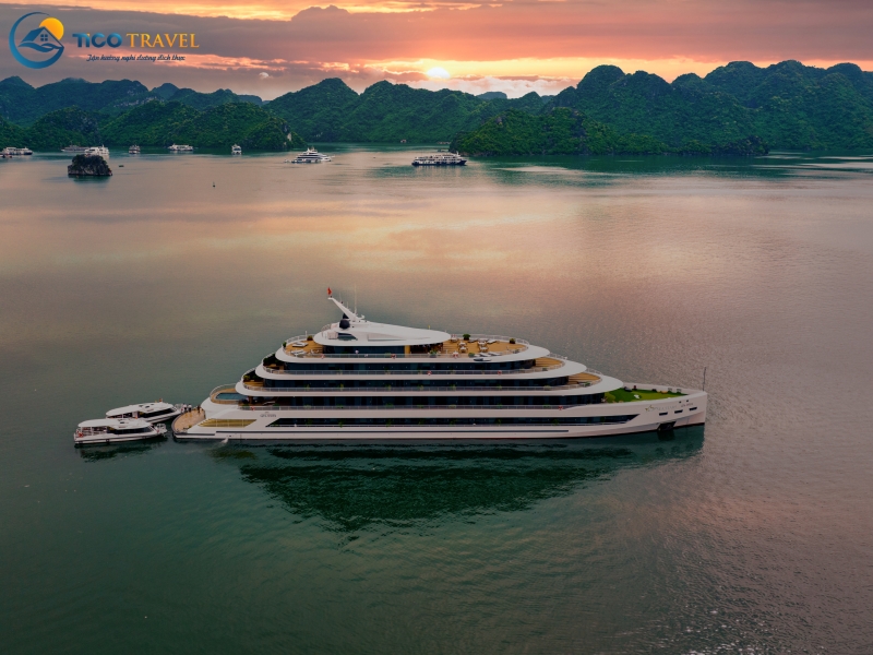Sea Stars Cruise