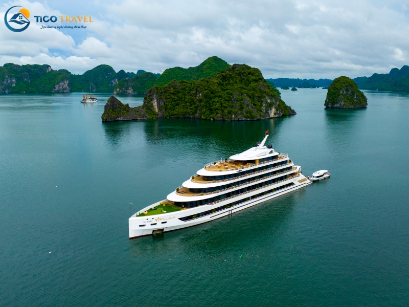 Sea Stars Cruise