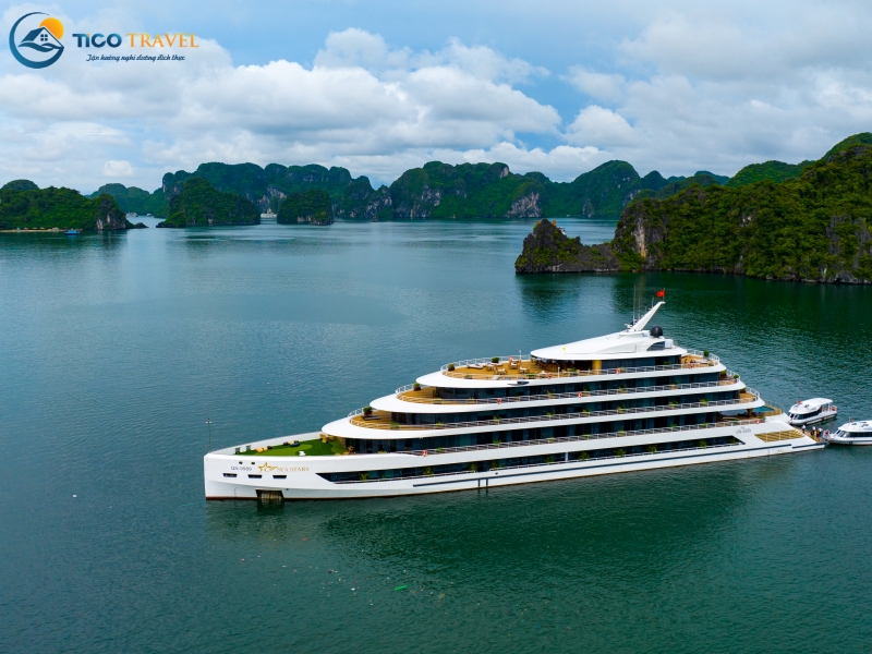 Sea Stars Cruise