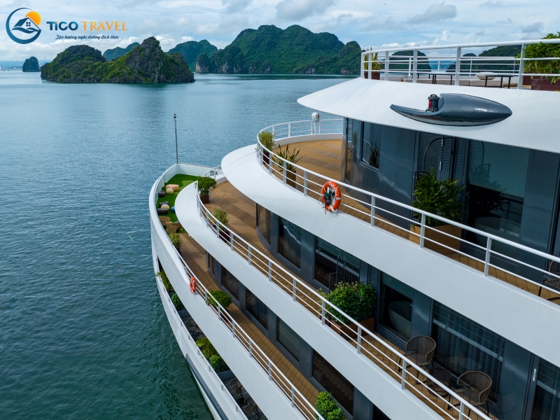 Sea Stars Cruise