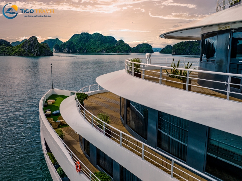 Sea Stars Cruise