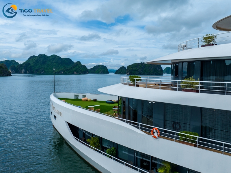 Sea Stars Cruise