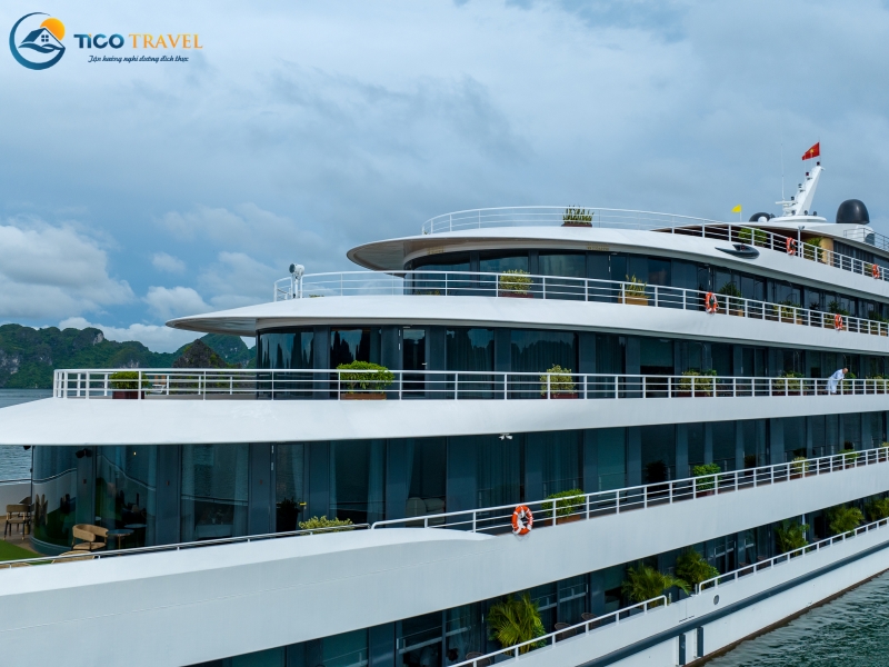 Sea Stars Cruise