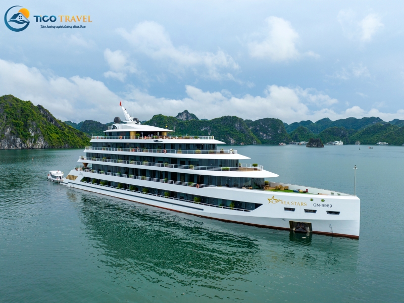 Sea Stars Cruise