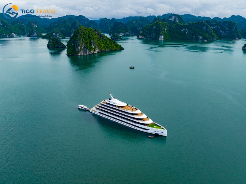 Sea Stars Cruise