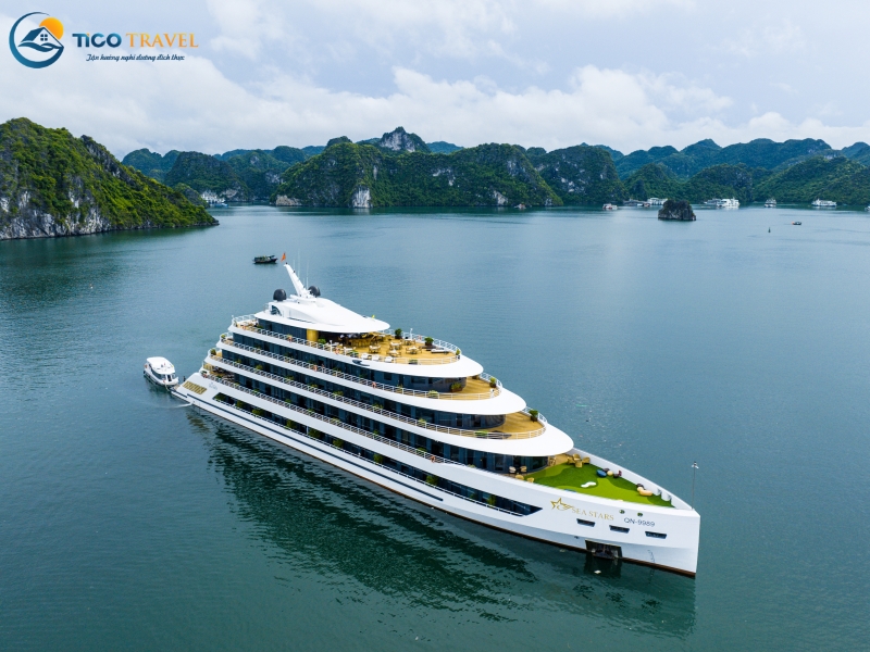 Sea Stars Cruise