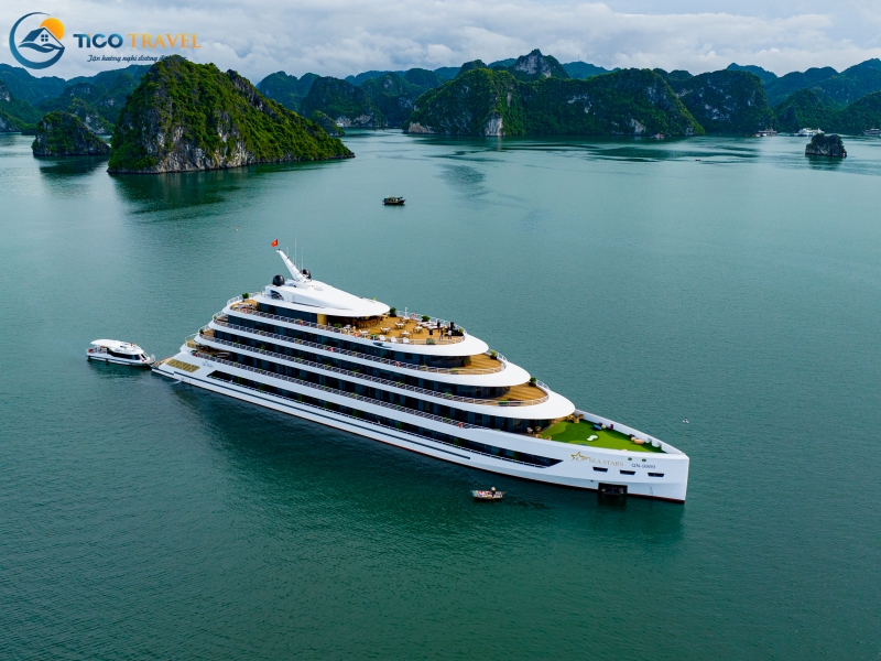 Sea Stars Cruise