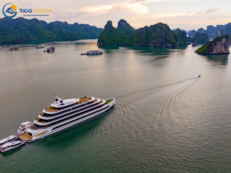 Sea Stars Cruise