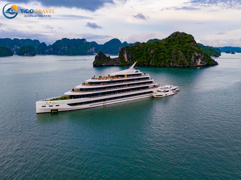 Sea Stars Cruise