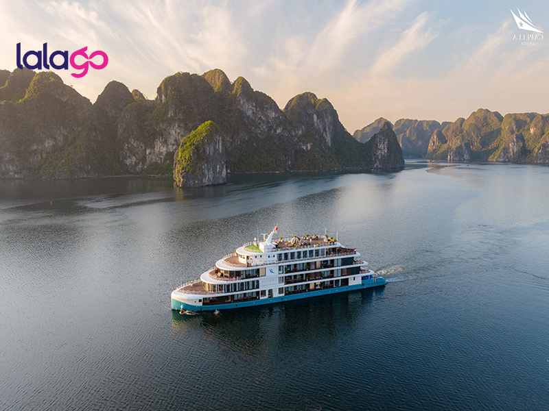 Khách sạn Flamingo Đại Hải