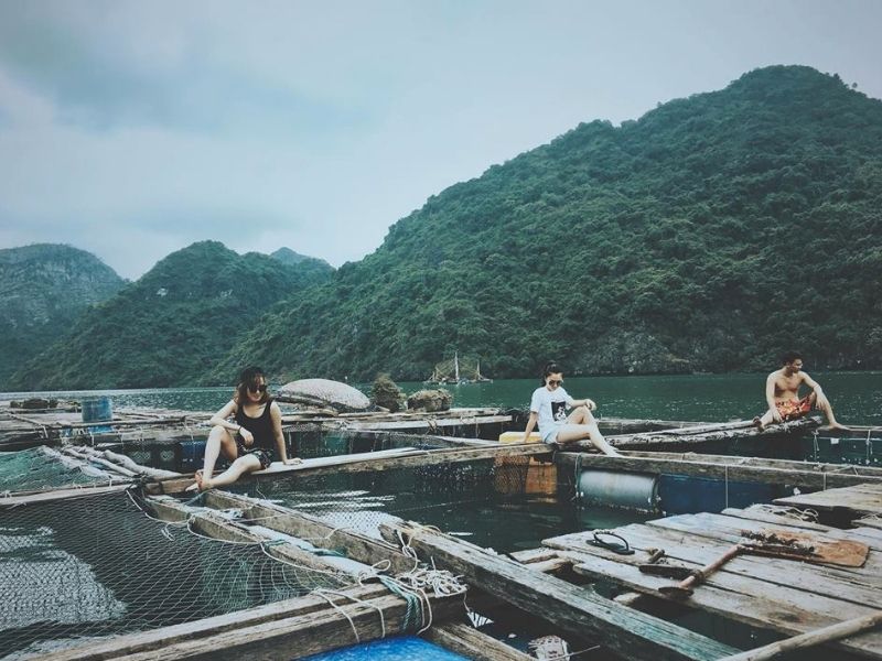 Du khách tham quan bè nổi giữa vịnh Hạ Long