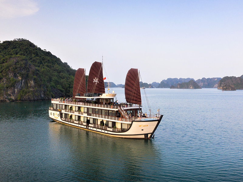 Orchid Trendy Cruise