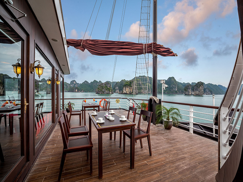 Orchid Trendy Cruise