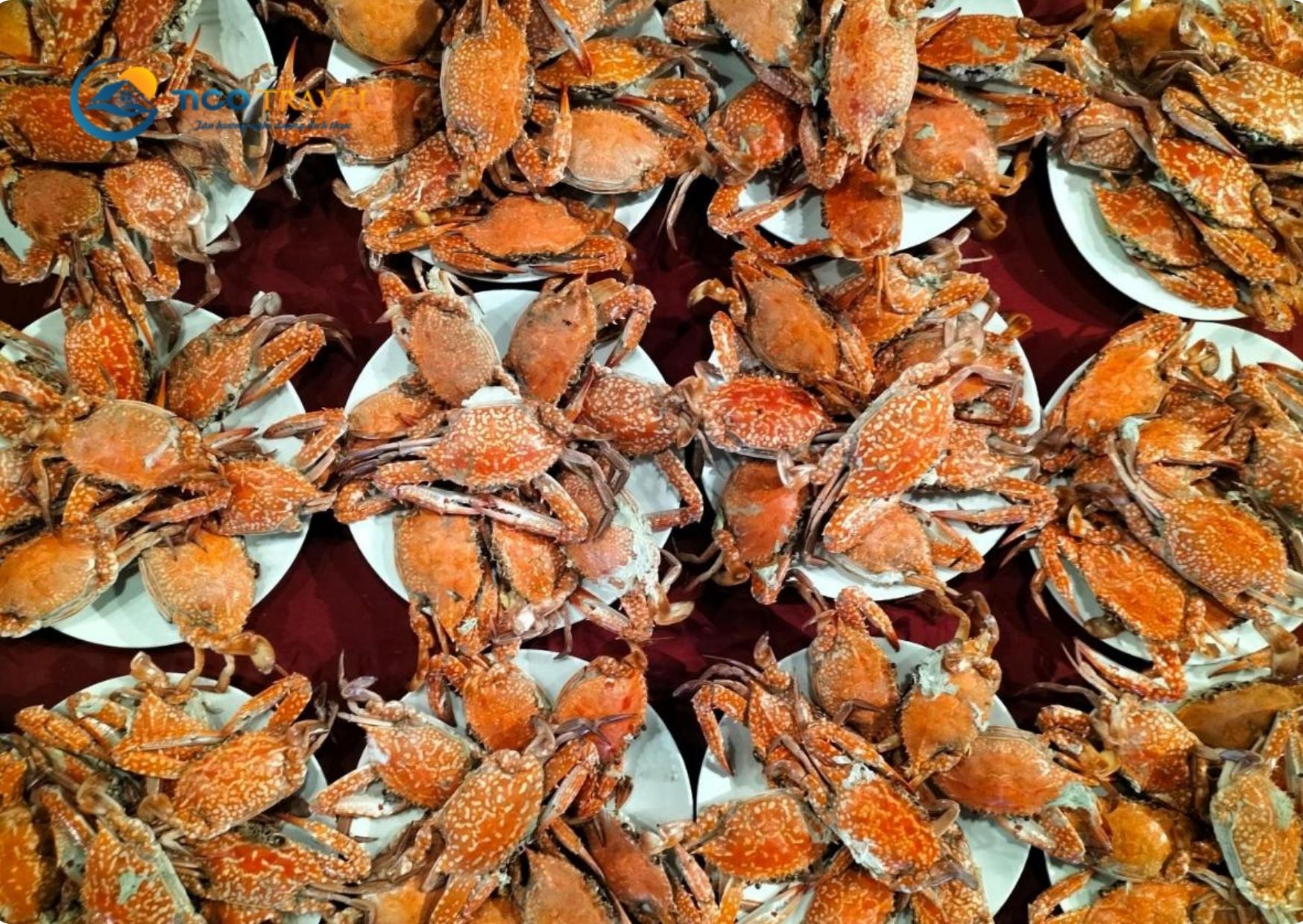 Suối Hồng Resort