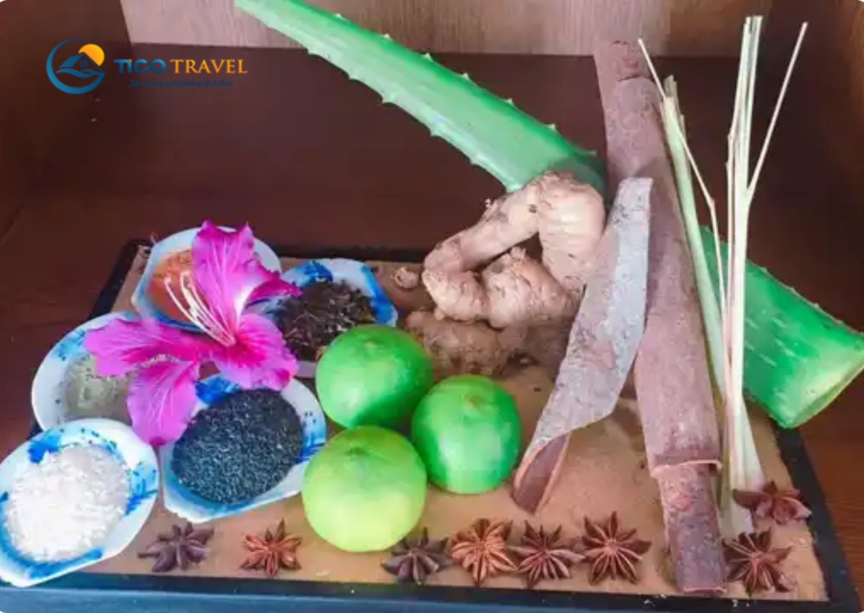Aurora Villas and Resort Quy Nhơn