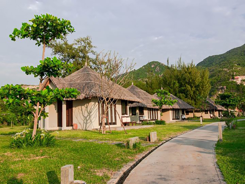 Phòng Deluxe 1 người