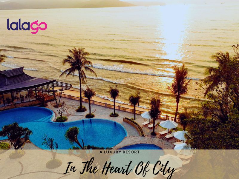 Khách sạn Flamingo Đại Hải