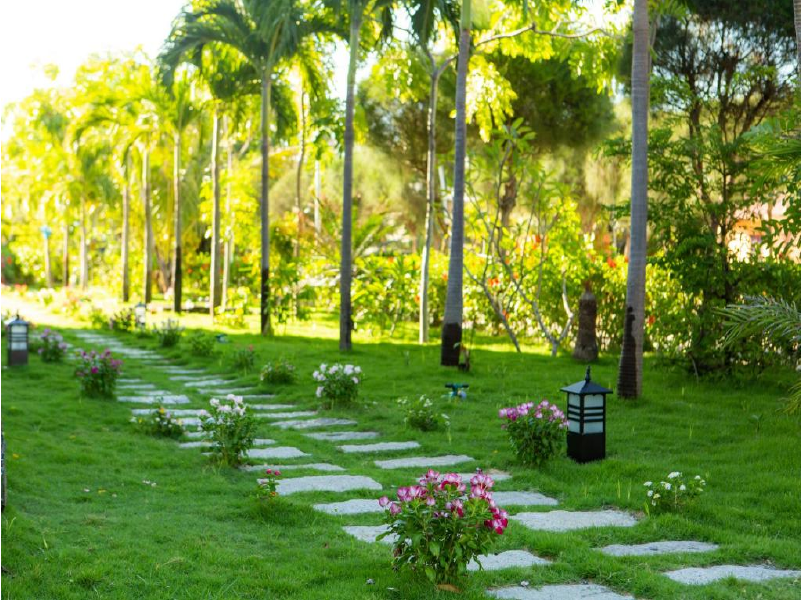 Ivory Hotel Phú Yên