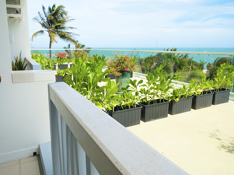 The Cliff Resort & Residences Mũi Né Phan Thiết
