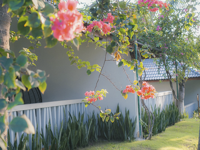 Khách sạn Flamingo Đại Hải