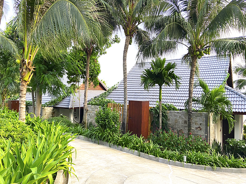 Phòng Deluxe 3 người (Deluxe Triple Room)