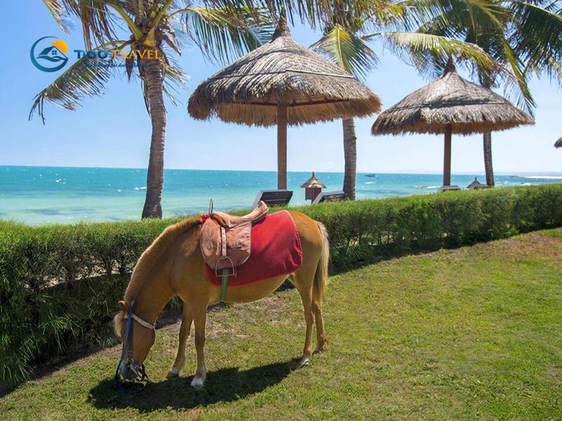 Victoria Resort & Spa Mũi Né Phan Thiết