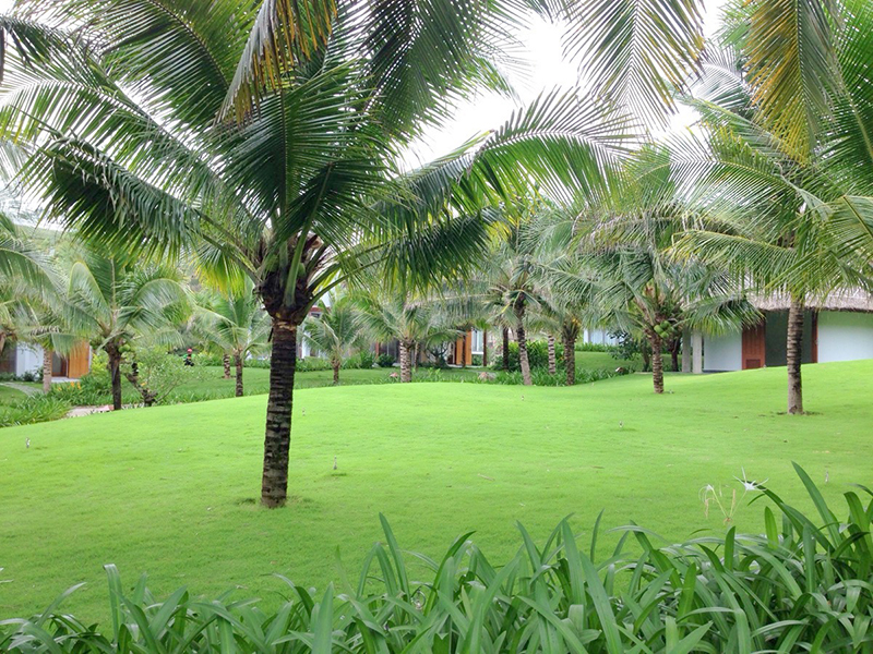 Sonata Resort & Spa