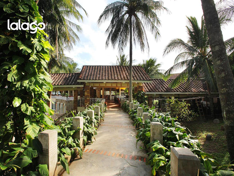 Khách sạn Flamingo Đại Hải