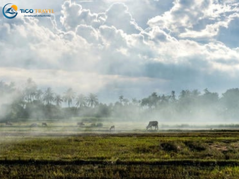 Amanoi Resort Vĩnh Hy Ninh Thuận