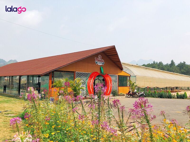 Phoenix Mộc Châu Resort