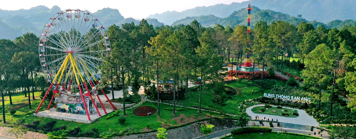Resort bố trí phân khu vui chơi giải trí dã ngoại độc đáo trong lòng rừng thông