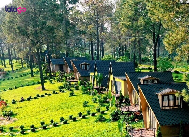 Phoenix Mộc Châu Resort