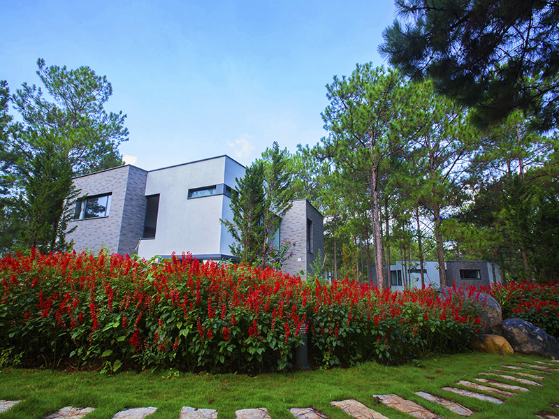 Terracotta Hotel & Resort Dalat