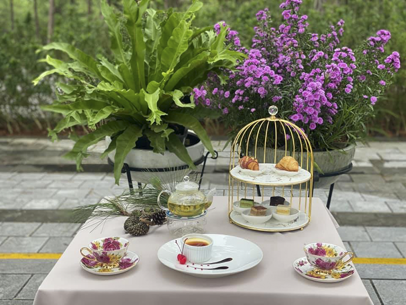 Terracotta Hotel & Resort Dalat