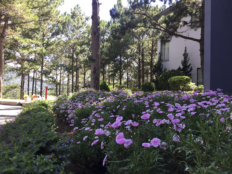 Terracotta Hotel & Resort Dalat
