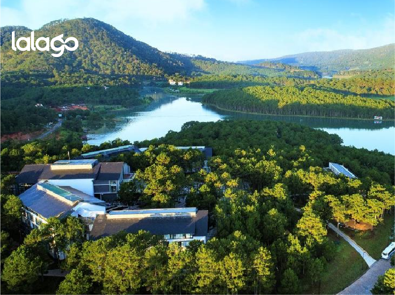 Khách sạn Flamingo Đại Hải