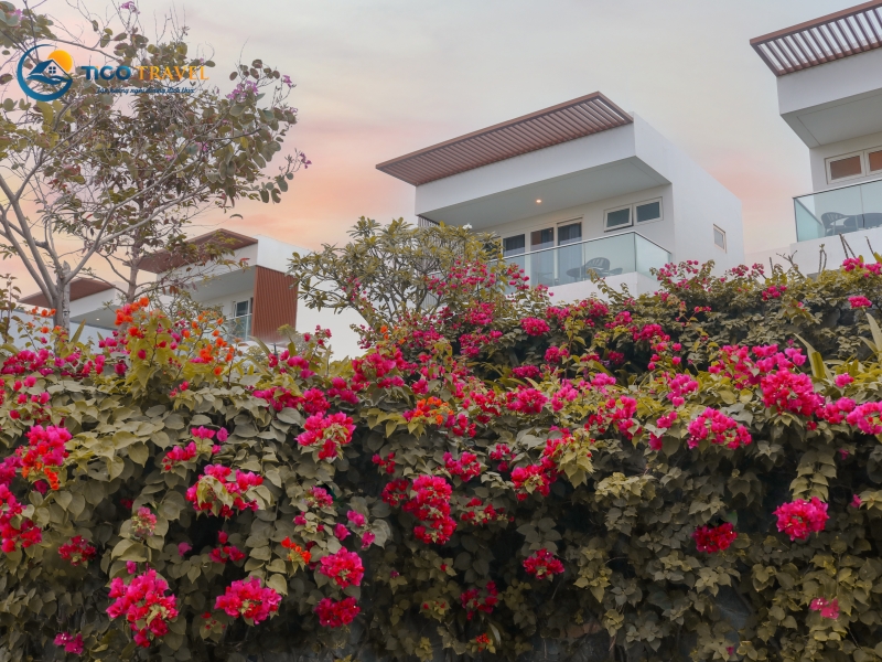 Alma Resort Cam Ranh