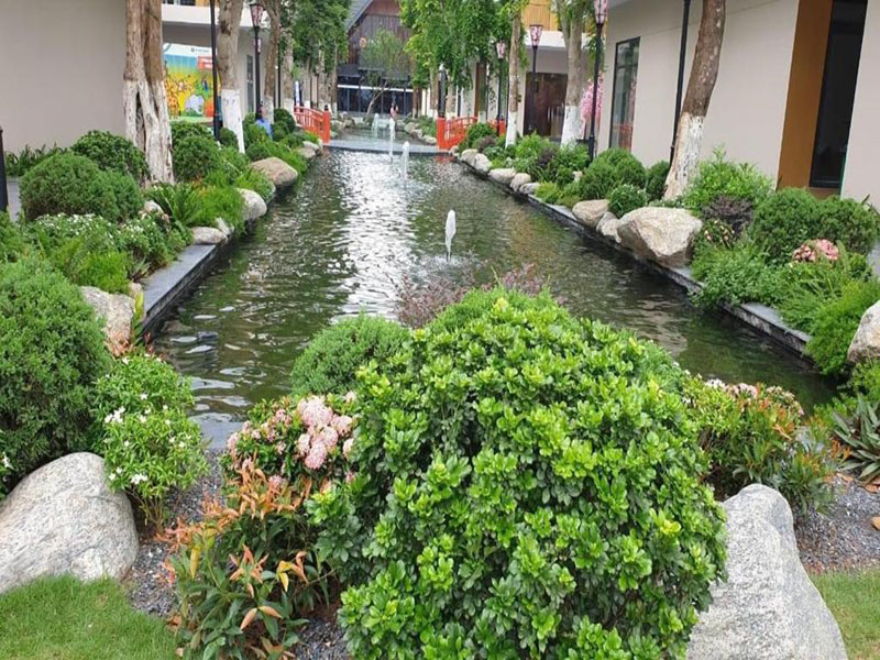 Lynntimes Thanh Thủy