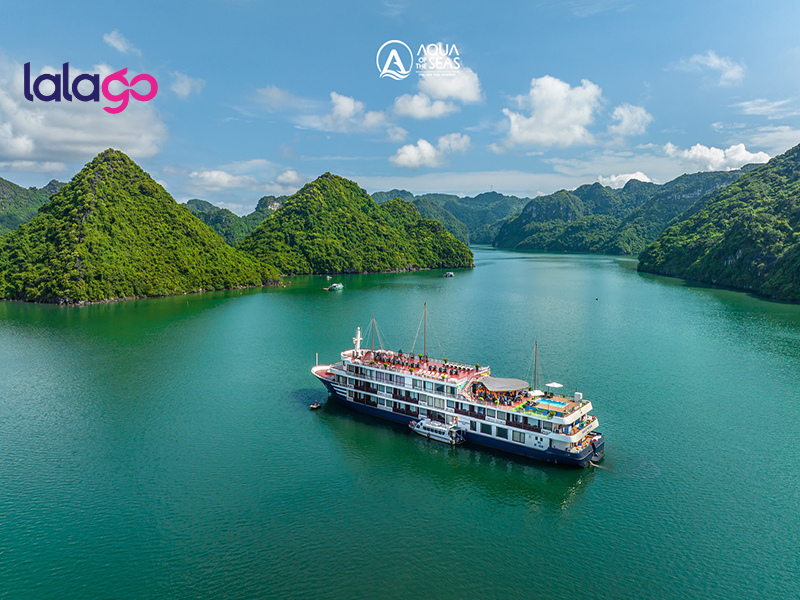 Khách sạn Flamingo Đại Hải