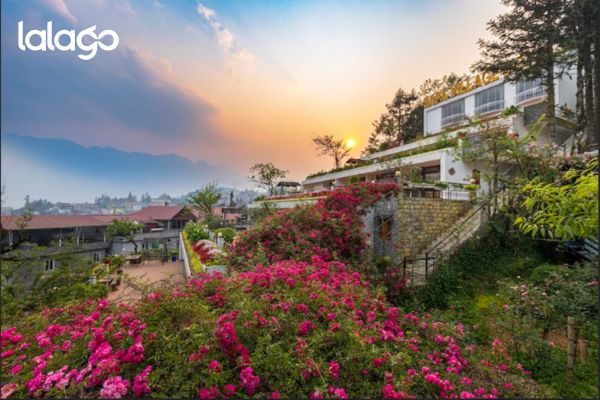 Khách sạn Flamingo Đại Hải