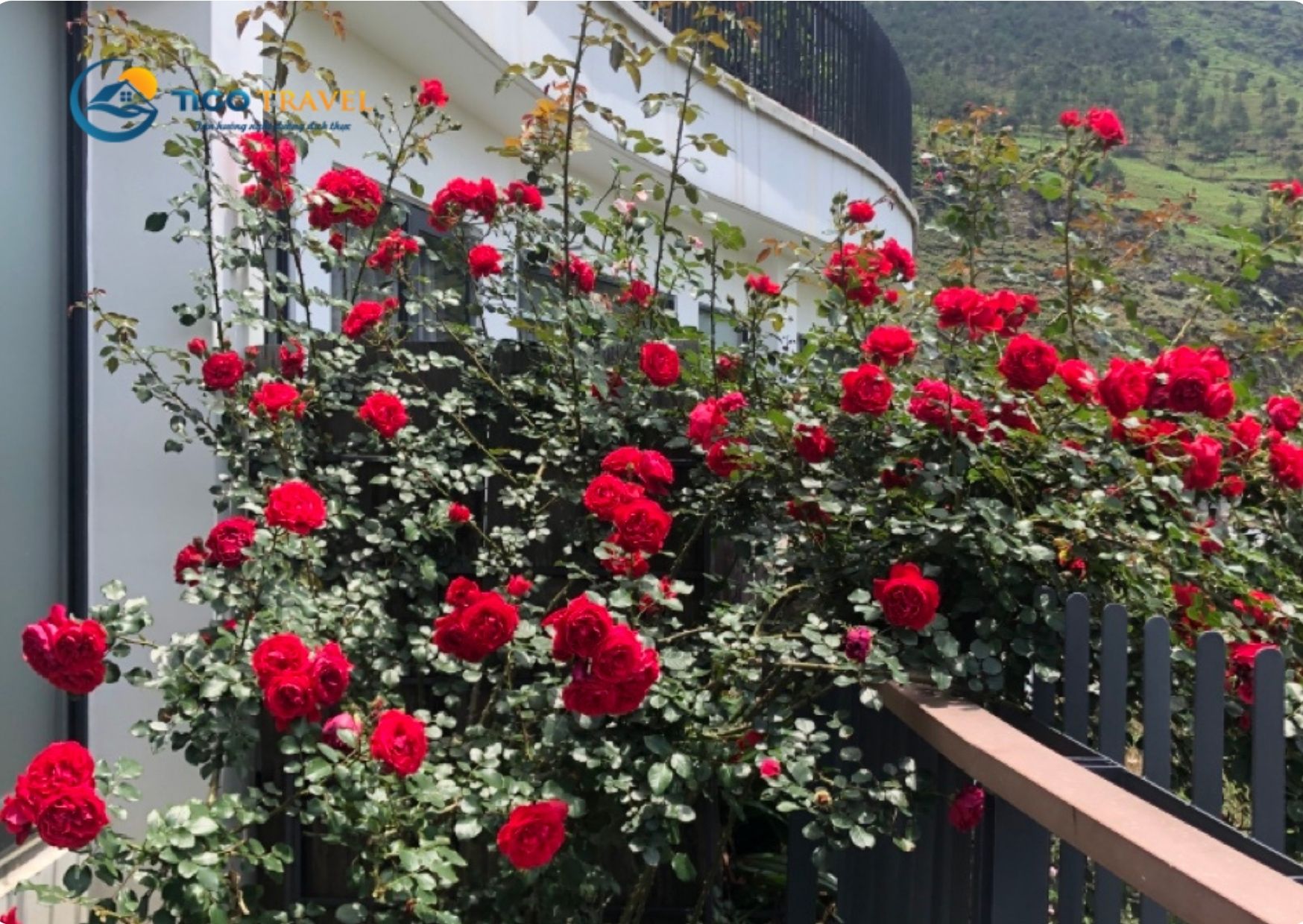 Pao’s Sapa Leisure Hotel