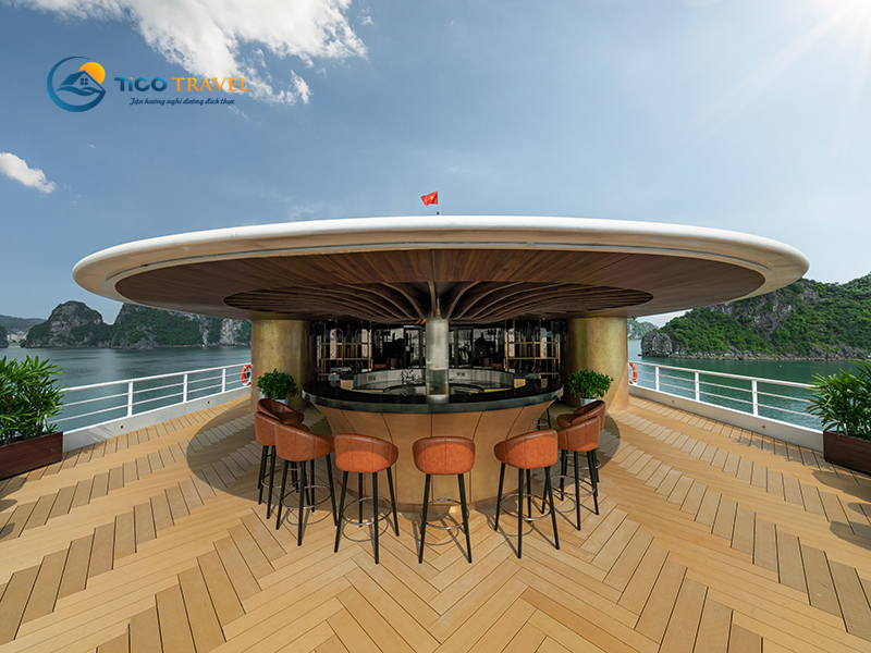 Sea Stars Cruise