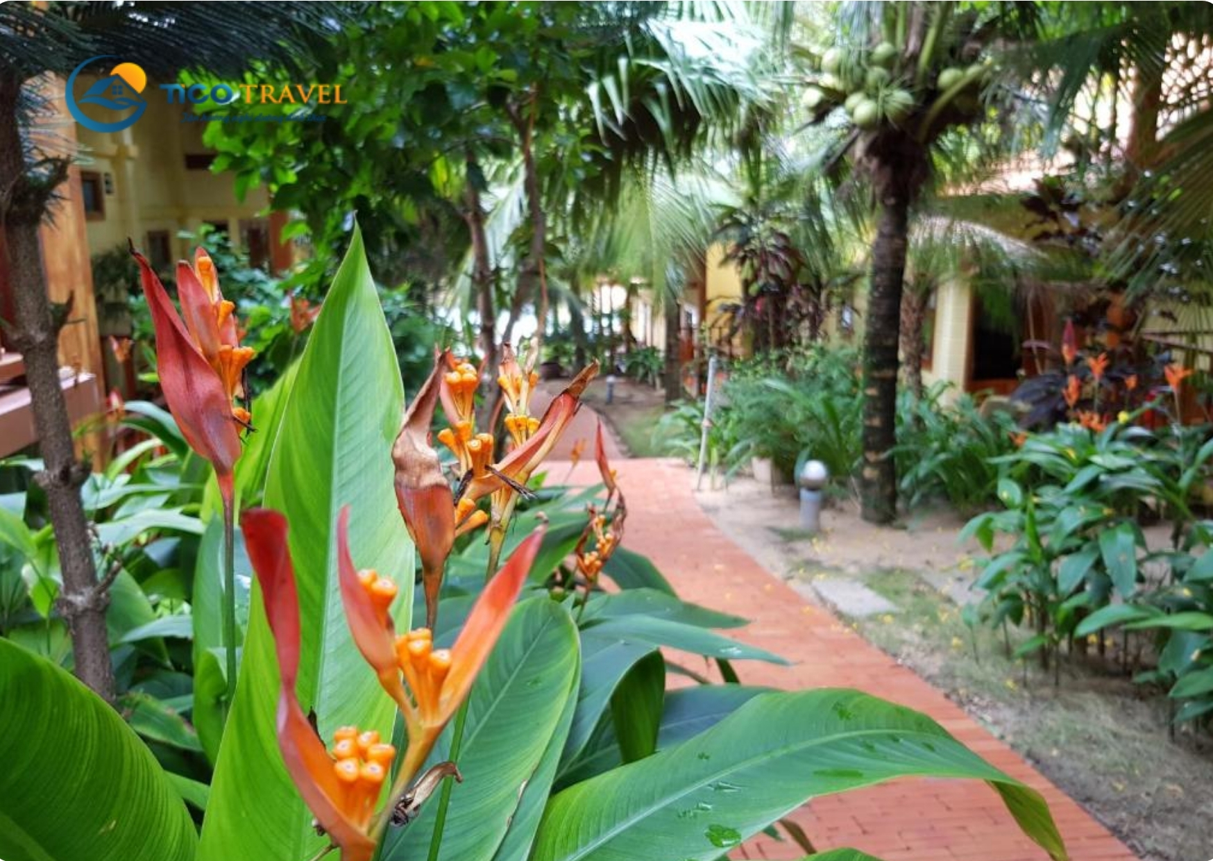 Khách sạn Flamingo Đại Hải