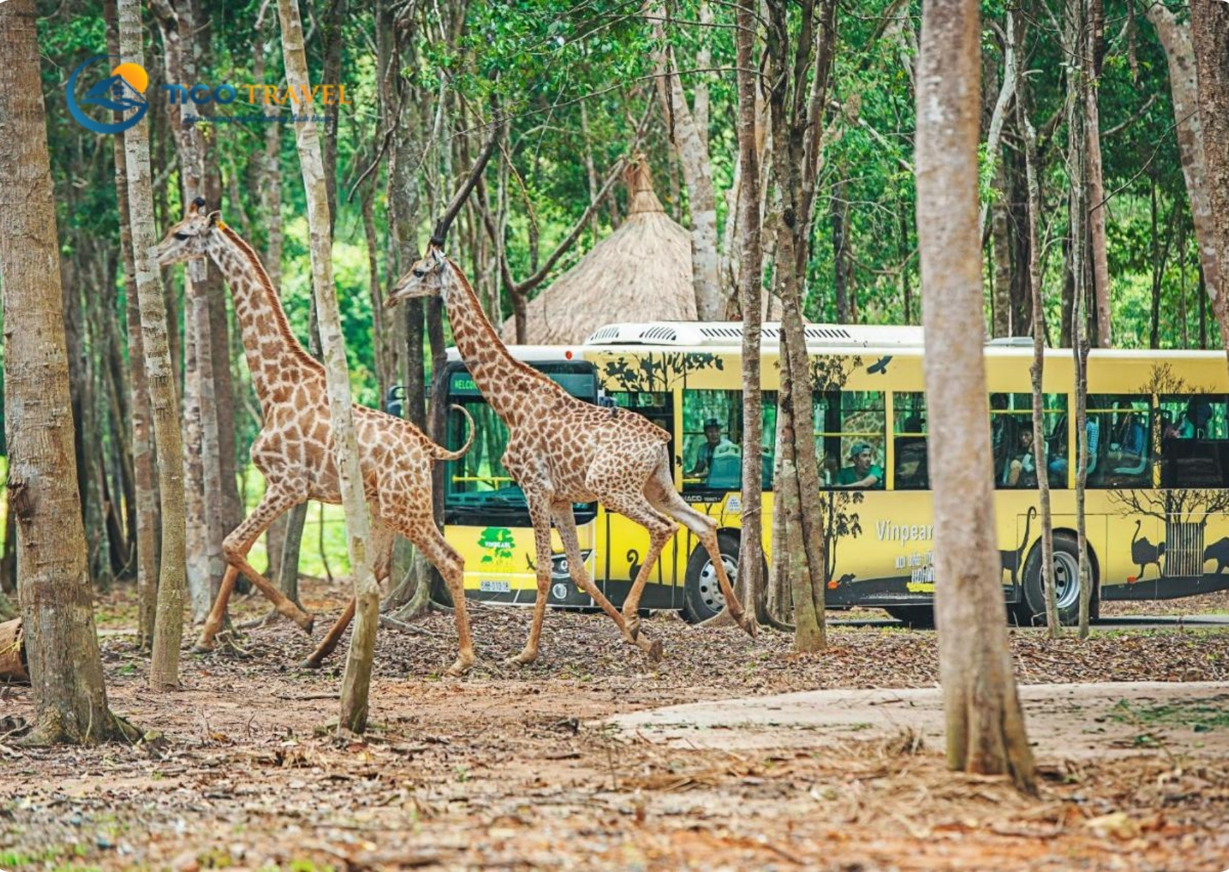 Vinpearl Resort & Spa Phú Quốc