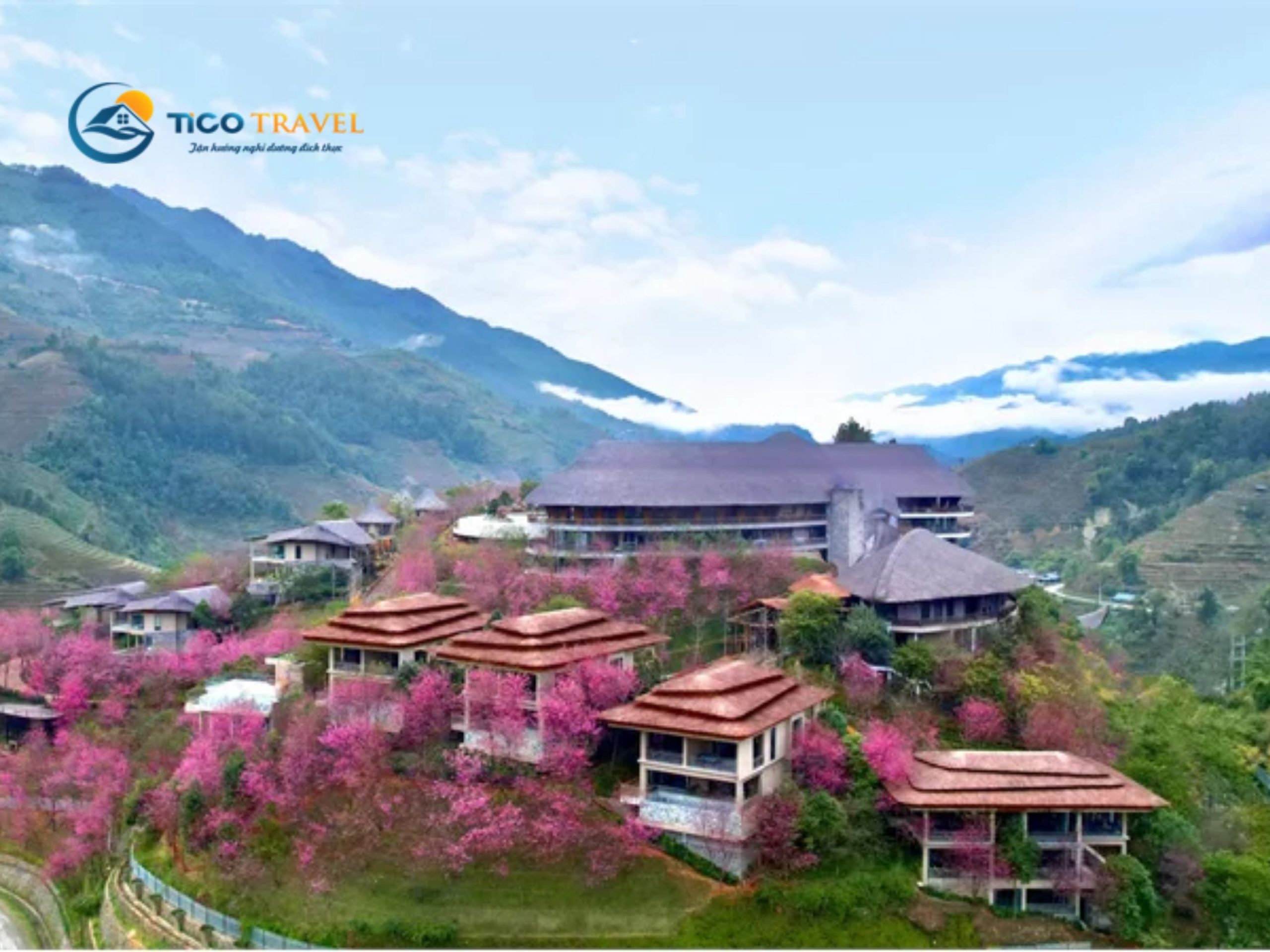 Garrya Mù Cang Chải