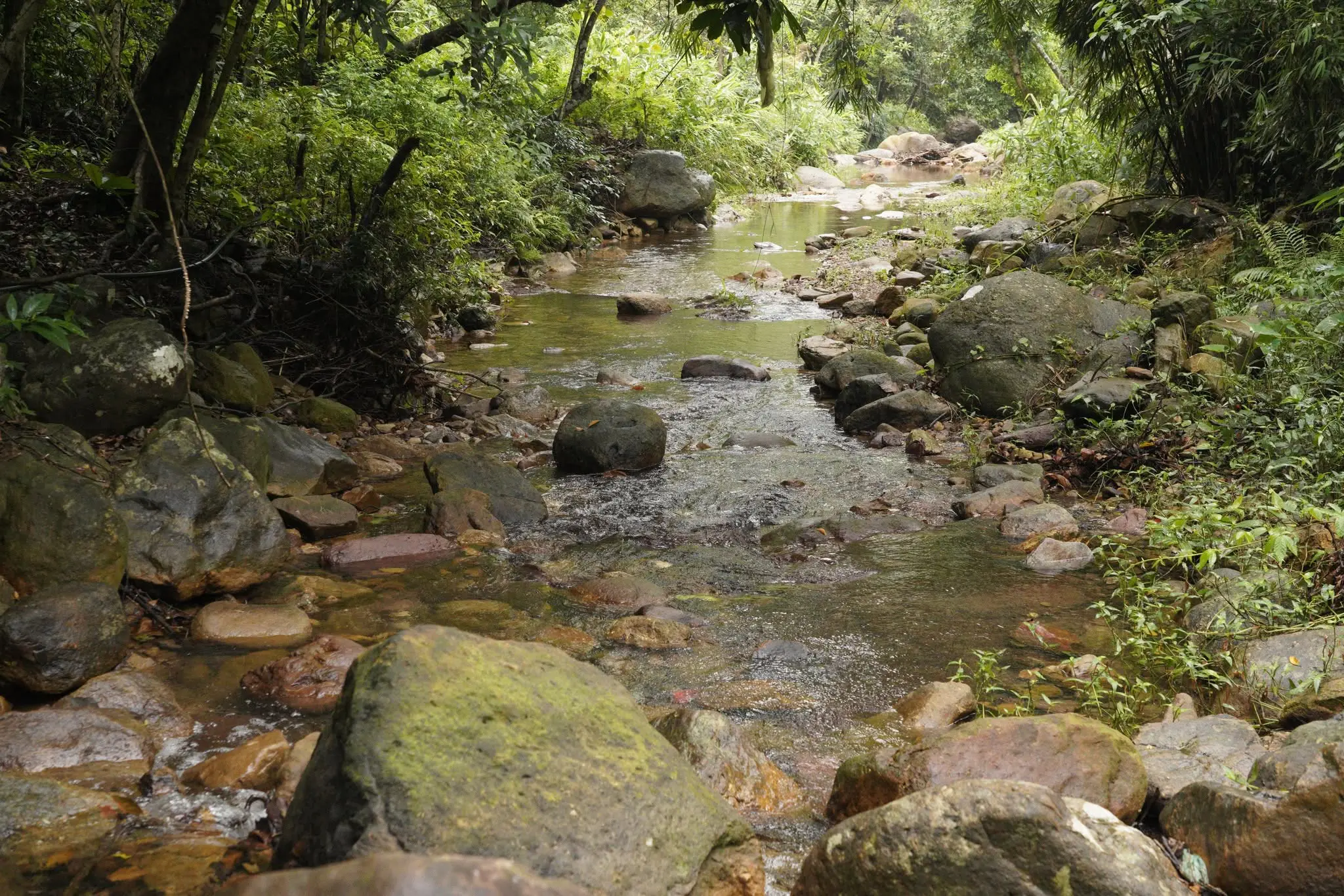 Khu Du Lịch Ngọa Vân